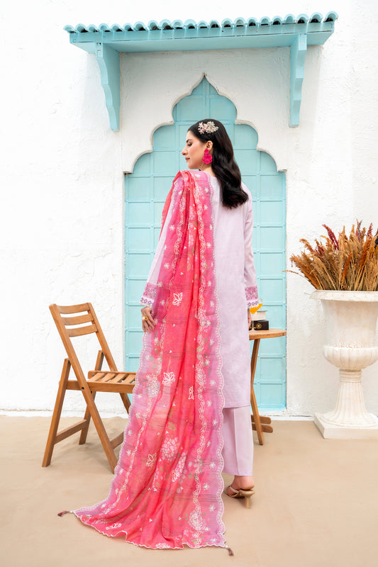 FESTIVE CHIKANKARI